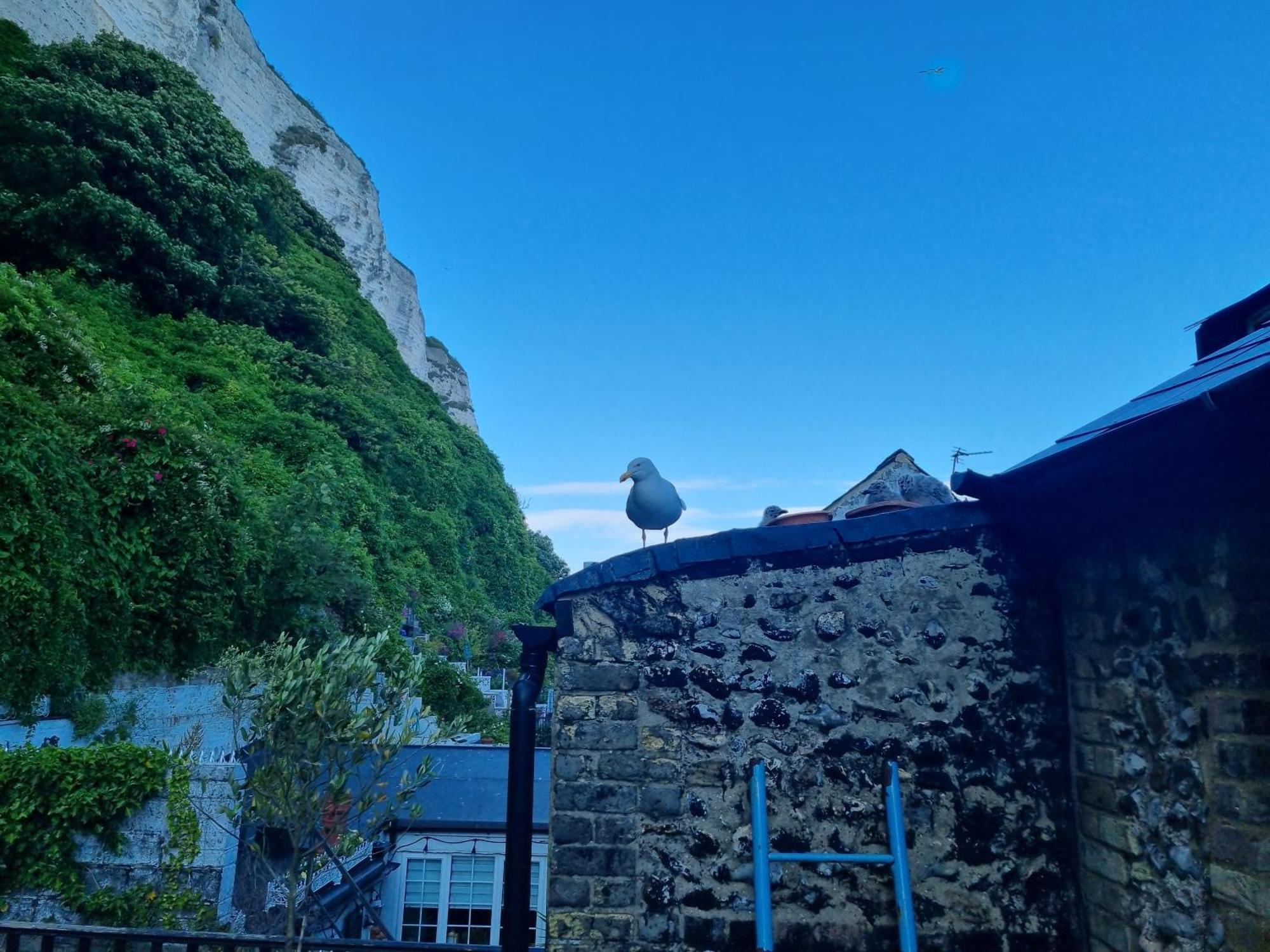 First And Last Youth Hostel Dover Luaran gambar